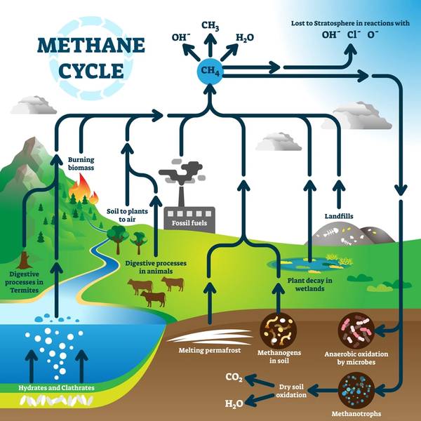 Methane Emissions